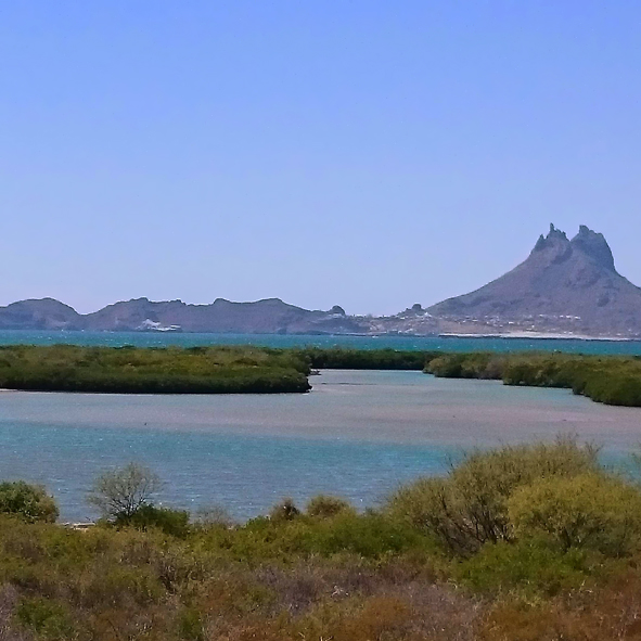 Explorar el Estero del Soldado – SONORA, MARAVILLAS NATURALES